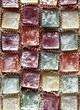 Multi Colored Candy Jellies