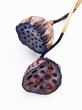 Dried lotus seed pods