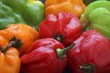 Colourful Scotch Bonnet chilli peppers