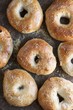 Homemade Salt Bagels