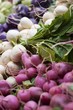 Photo: Radishes and Salad Turnips at the Portland Farmers Market in Monument Square in Portland, Maine Radishes and Salad Turnips at the Portland Farmers Market in Monument Square in Portland, Maine
