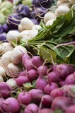 Photo: Radishes and Salad Turnips at the Portland Farmers Market in Monument Square in Portland, Maine Radishes and Salad Turnips at the Portland Farmers Market in Monument Square in Portland, Maine