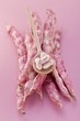 Several borlotti beans