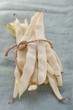 A bunch of wax beans