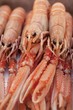 Crayfish