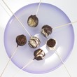Cake pops with chocolate icing, one with a bite taken out