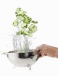 Cucumber slices being washed in a sieve