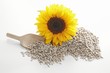 Sunflower seeds, wooden scoop and sunflower