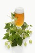 A glass of beer and a hops umbel