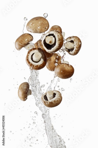 Photo: Brown mushrooms and a splash of water Brown mushrooms and a splash of water