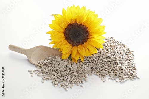 Photo: Sunflower seeds, wooden scoop and sunflower Sunflower seeds, wooden scoop and sunflower