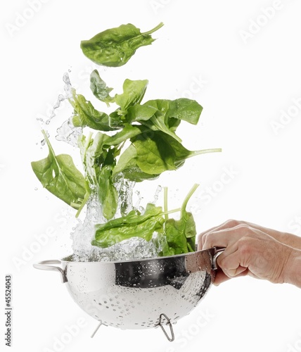 Photo: Washing spinach in a colander Washing spinach in a colander