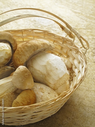 Photo: Fresh ceps in a basket Fresh ceps in a basket