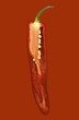 Half a red chilli pepper on a red surface