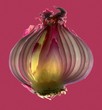 Half a red onion