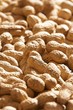 Peanuts (macro zoom)