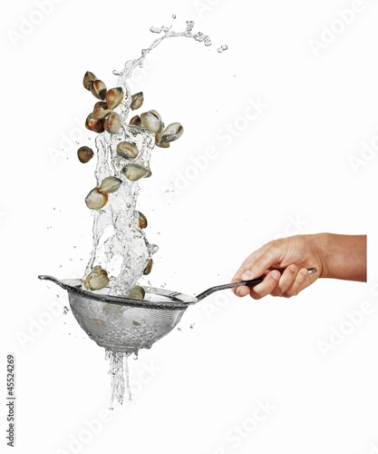 Photo: Washing mussels in a sieve Washing mussels in a sieve