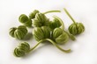 Nasturtium seed pods