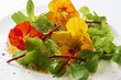 Lamb's lettuce with nasturtium flowers