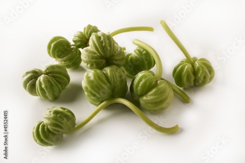 Photo: Nasturtium seed pods Nasturtium seed pods