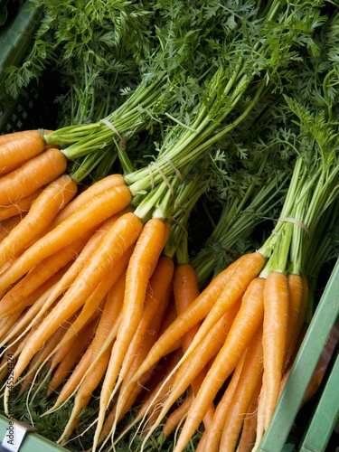 Photo: Bunches of Carrots at The Carouge Market is in Geneva Switzerland Bunches of Carrots at The Carouge Market is in Geneva Switzerland