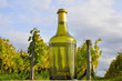 Photo: Vigne et vin jaune Vigne et vin jaune
