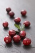 Cranberries on a slate surface