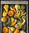 Assorted Gourds in a Crate; From Above