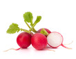 Small garden radish
