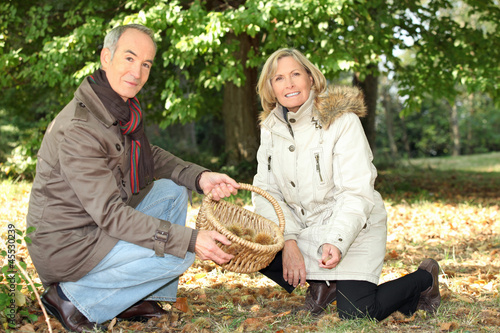Photo: Couple gathering chestnuts Couple gathering chestnuts