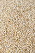 Quinoa
