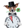 chimney sweeper dog watch clock