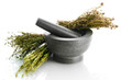 dried herbs in mortar, isolatrd on white