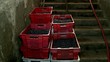 Loading boxes with grapes in the cellar of the winery