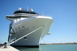 Cruise Ship