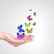 Photo: Hands releasing butterflies Hands releasing butterflies
