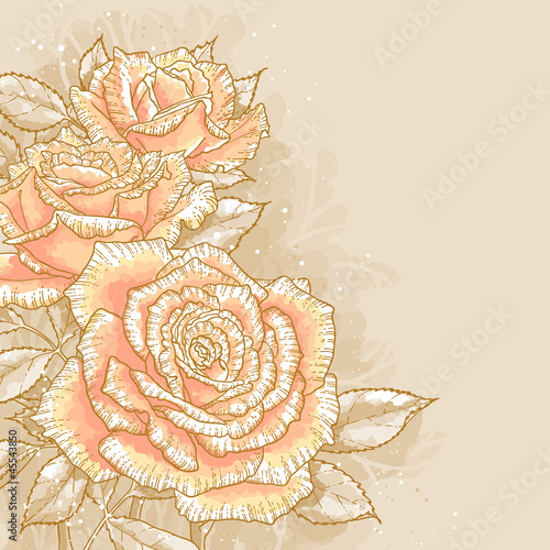Vector: Pink roses on toned background Pink roses on toned background