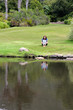 Foto: Woman reading newspaper sitting in grass Woman reading newspaper sitting in grass