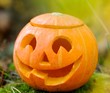 Halloween scary pumpkin in autumn forest