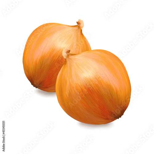 Illustration: Fresh Gold Onions Isolated on White Background Fresh Gold Onions Isolated on White Background