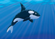 Killer whale
