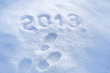 Foot step print in snow – New Year 2013 concept