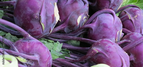 Photo: Lila Kohlrabi Lila Kohlrabi