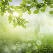 spring background