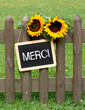 Merci