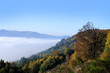 Photo: Autumn in Vosges mountains, France Autumn in Vosges mountains, France