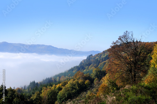 Photo: Autumn in Vosges mountains, France Autumn in Vosges mountains, France