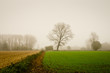 Belgian countryside