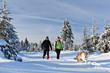 Photo: Couple hiking with dog in winter mountains Couple hiking with dog in winter mountains