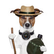 hike compass hat dog